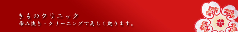 きものクリニック　染み抜き・クリーニングで美しく甦ります。