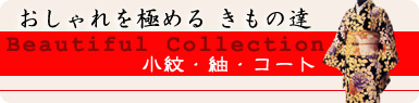 おしゃれ着物・紬・道行コート